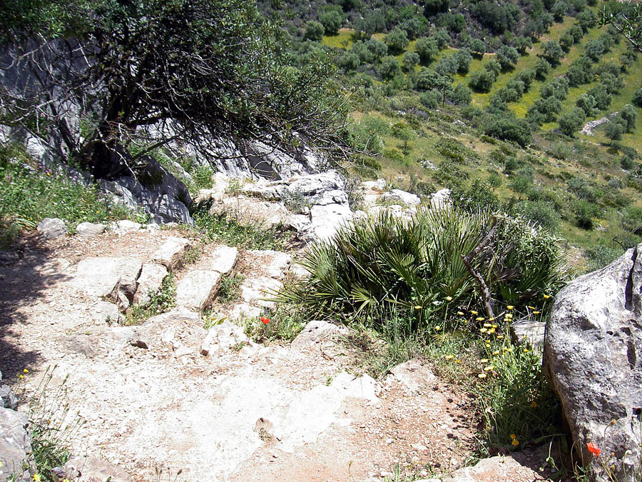 Cueva de la Pileta