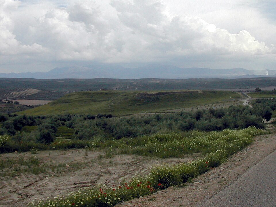 Cástulo