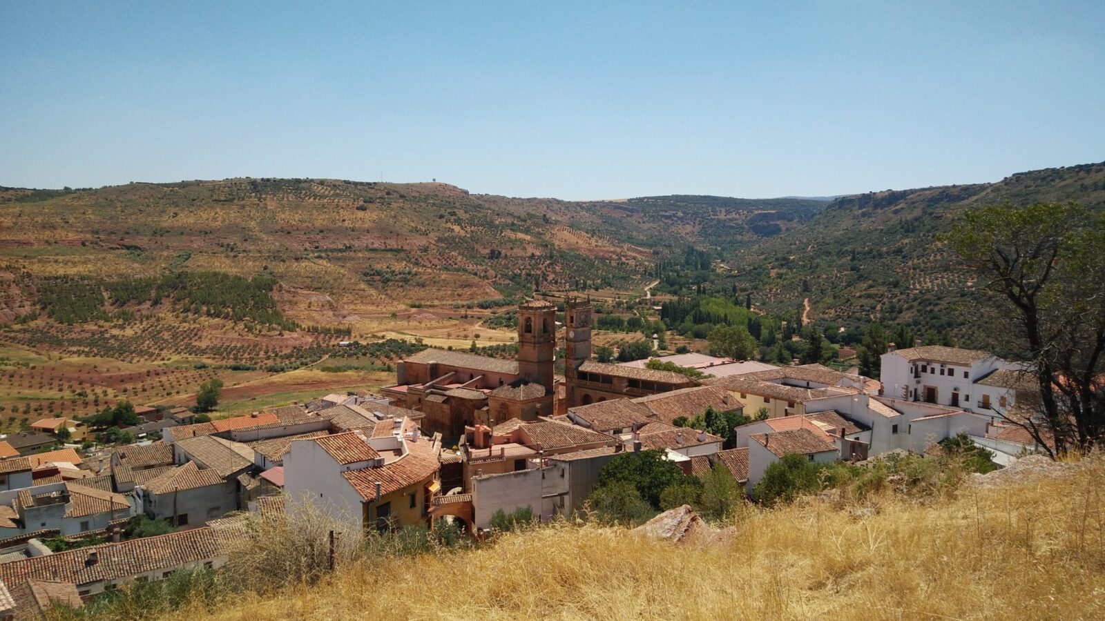 Alcaraz