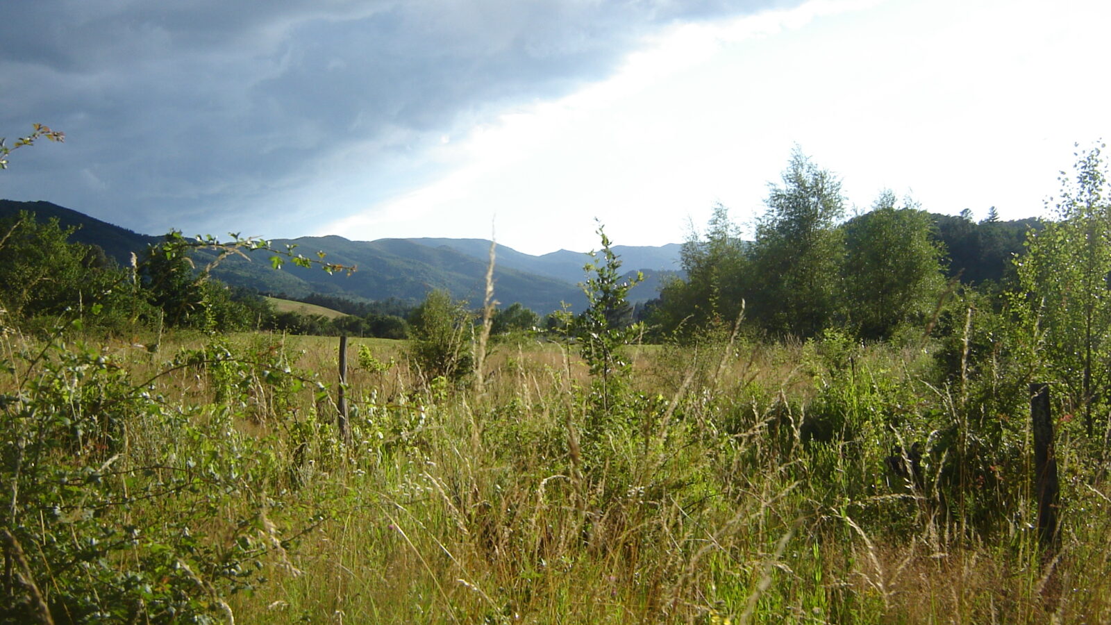 Prades