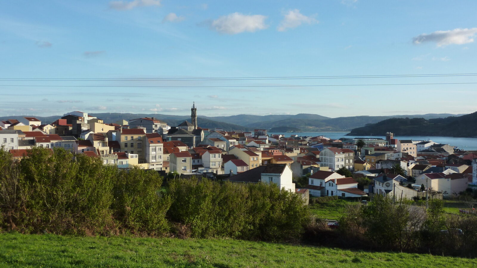 Cariño