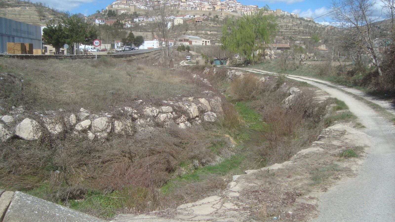 Morella